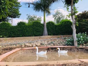 Xvf9kcwdpc7nz851qn2snkwc6zbm whatsapp%20image%202021 09 07%20at%2011.09.18%20am