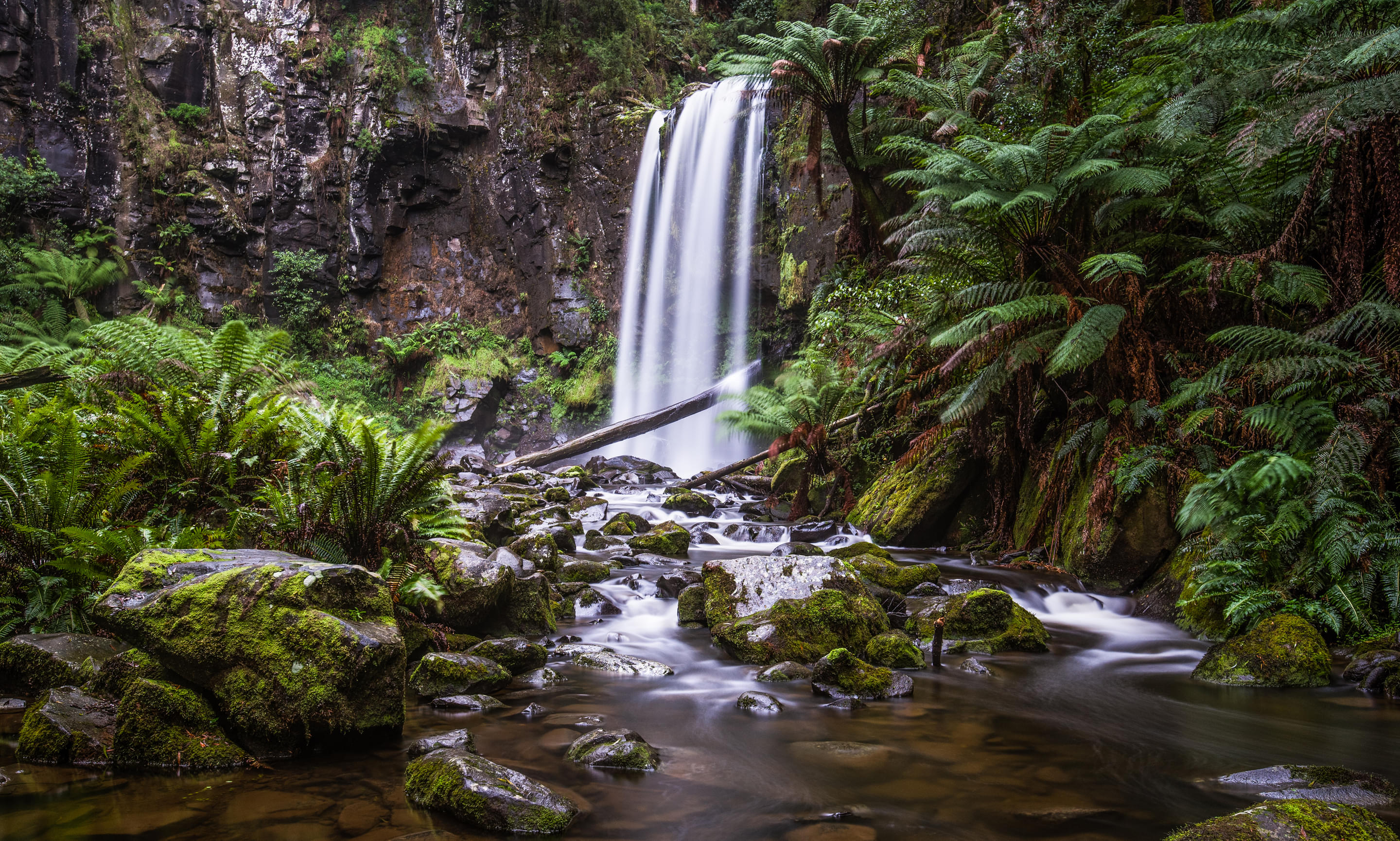 Great Otway National Park Overview