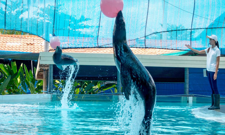 Samui Aquarium And Tiger Zoo