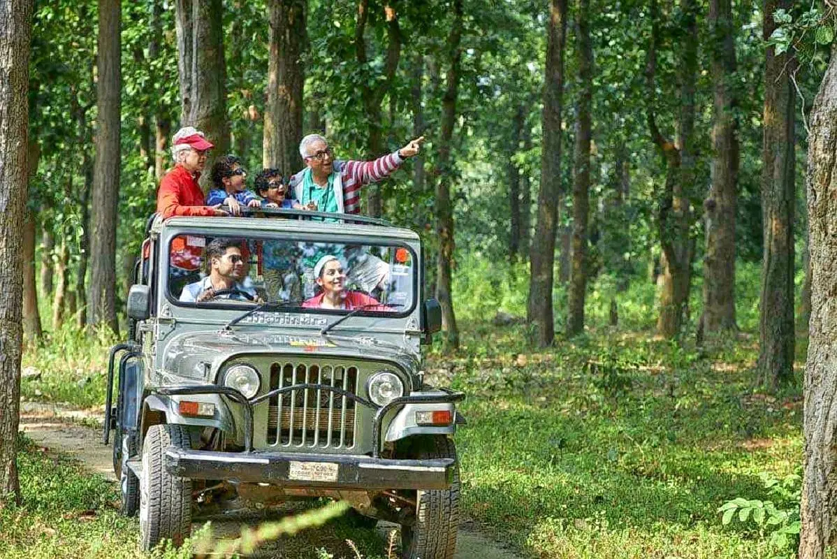 Jungle safari