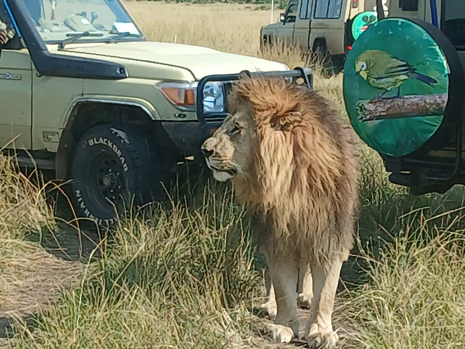 Photo from Ashit Shah's trip