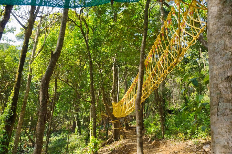 Adventurous Tree House Retreat in Sakleshpur Image