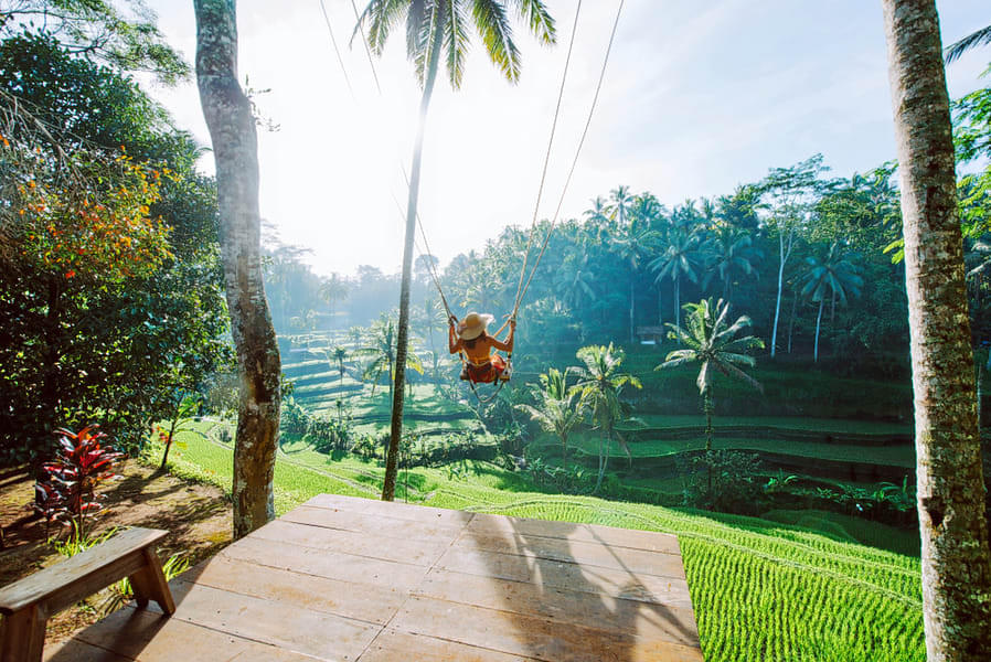 Tourist having fun activity at Rice Terraces, Bali