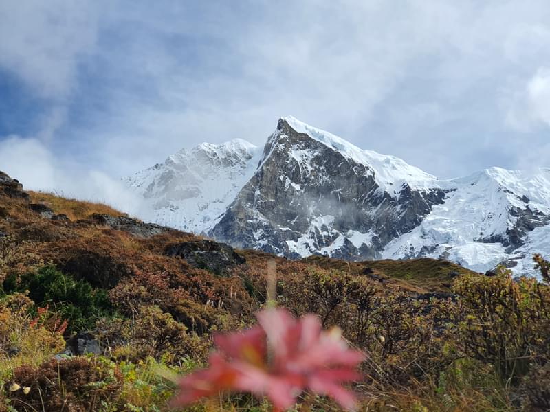 Sensational Sikkim Image