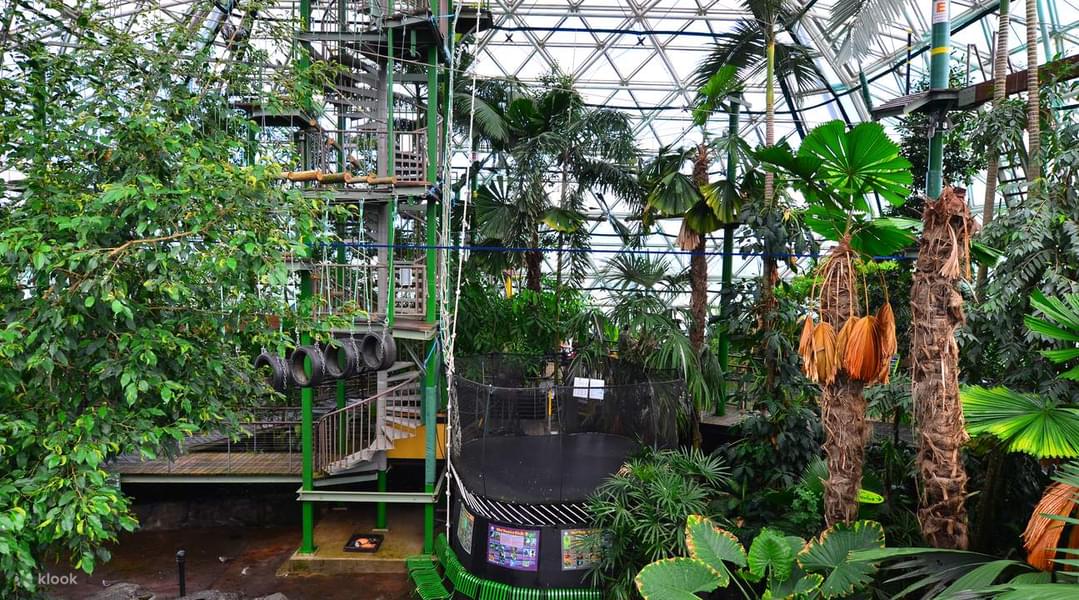 Cairns Zoom and Wildlife Dome Tickets Image