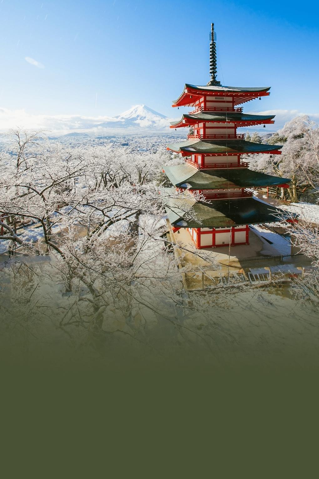 Discover Japan | From Tokyo Skylines to Osaka Sights