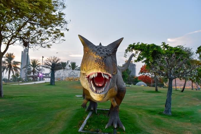 Dinosaur Park