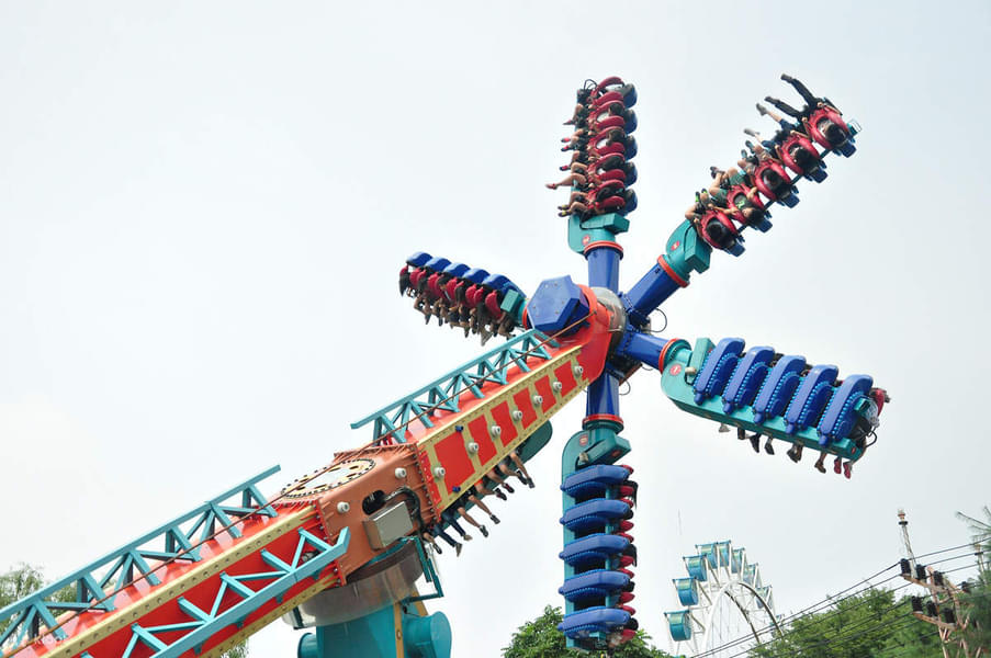 Everland Theme Park Tickets Image
