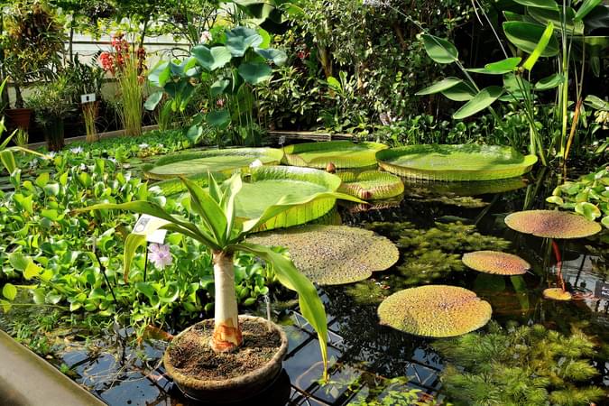 Oxford Botanic Gardens And Arboretum