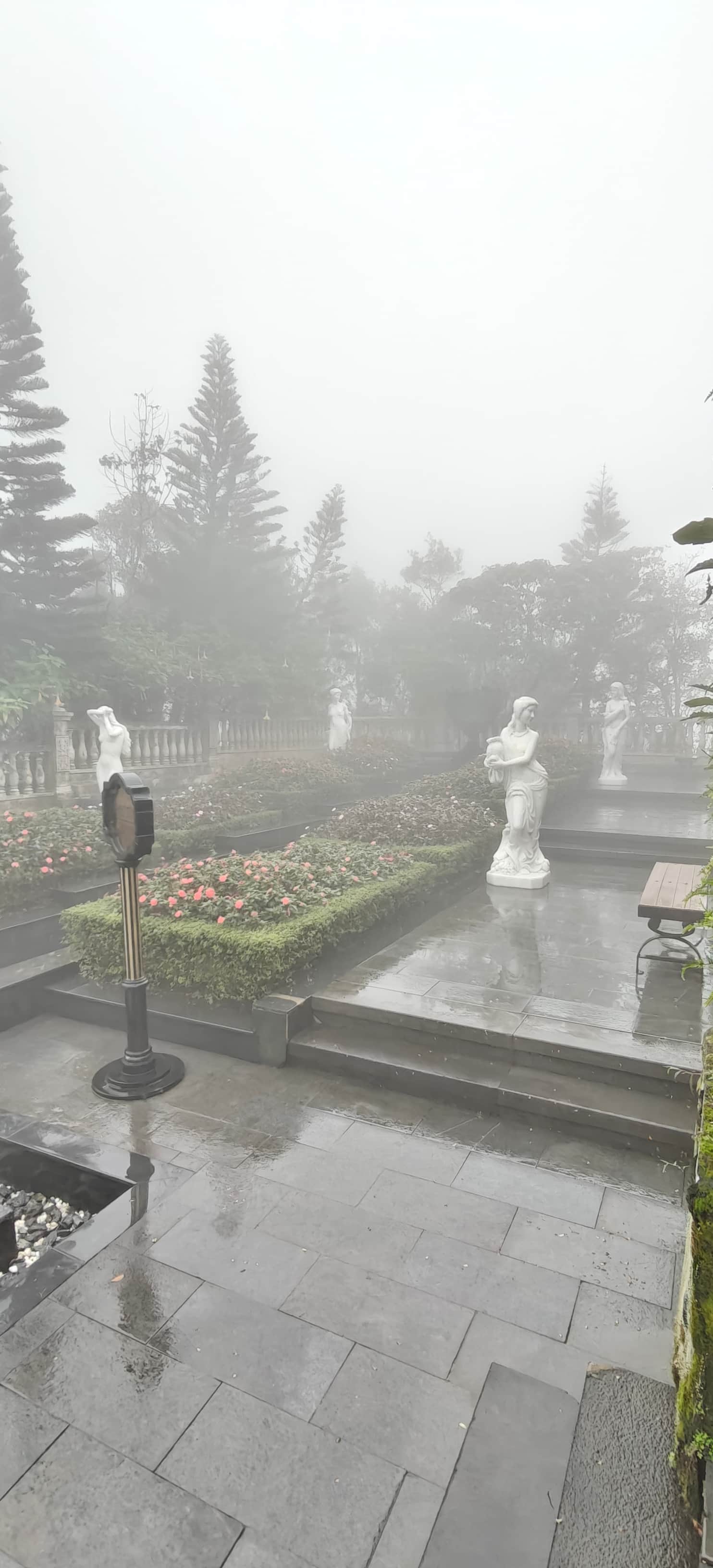 Photo from Priyansh Nigam's trip