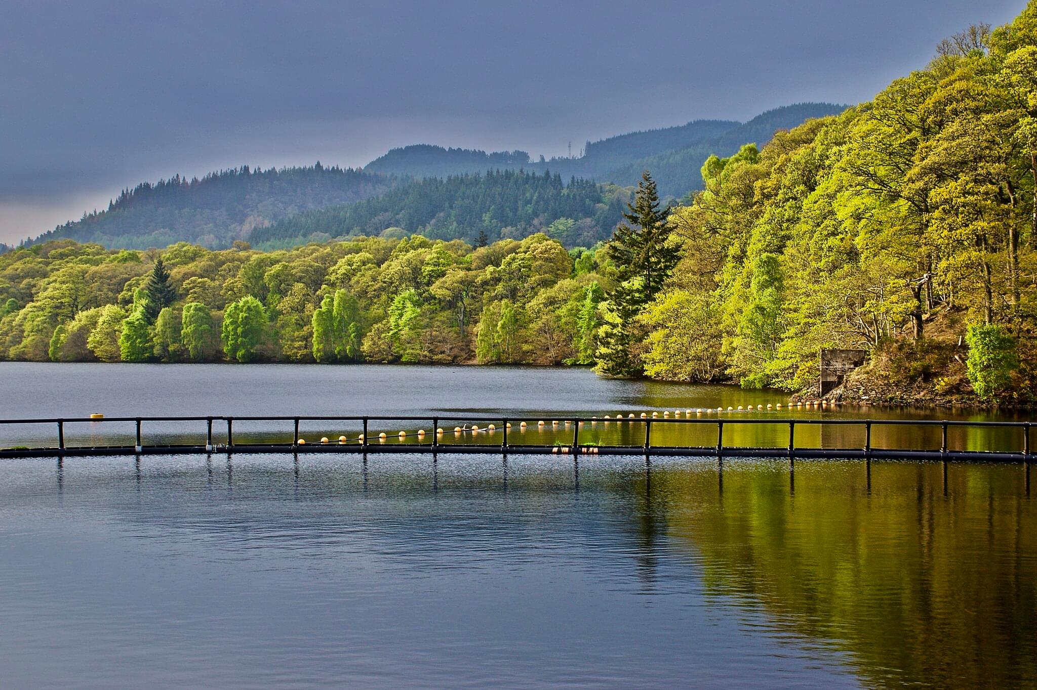 Loch Laggan Scotland Overview