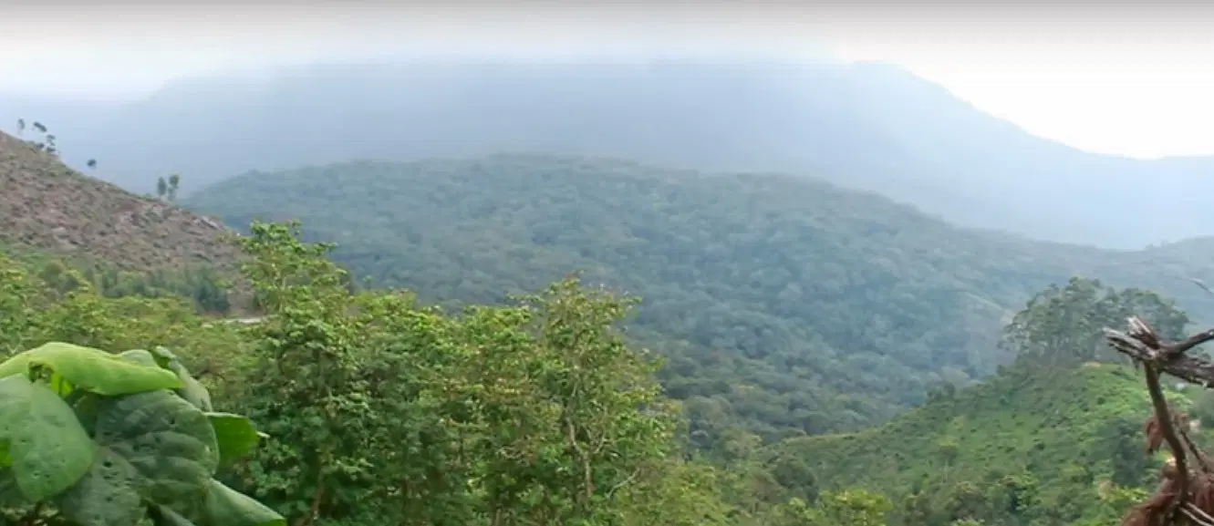 Photo from Bahula Iyer's trip