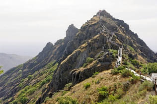 Y0jciw3pyamcbdgi5a5zkvyclw6d 1596532395 11208929354 b343e0384d c