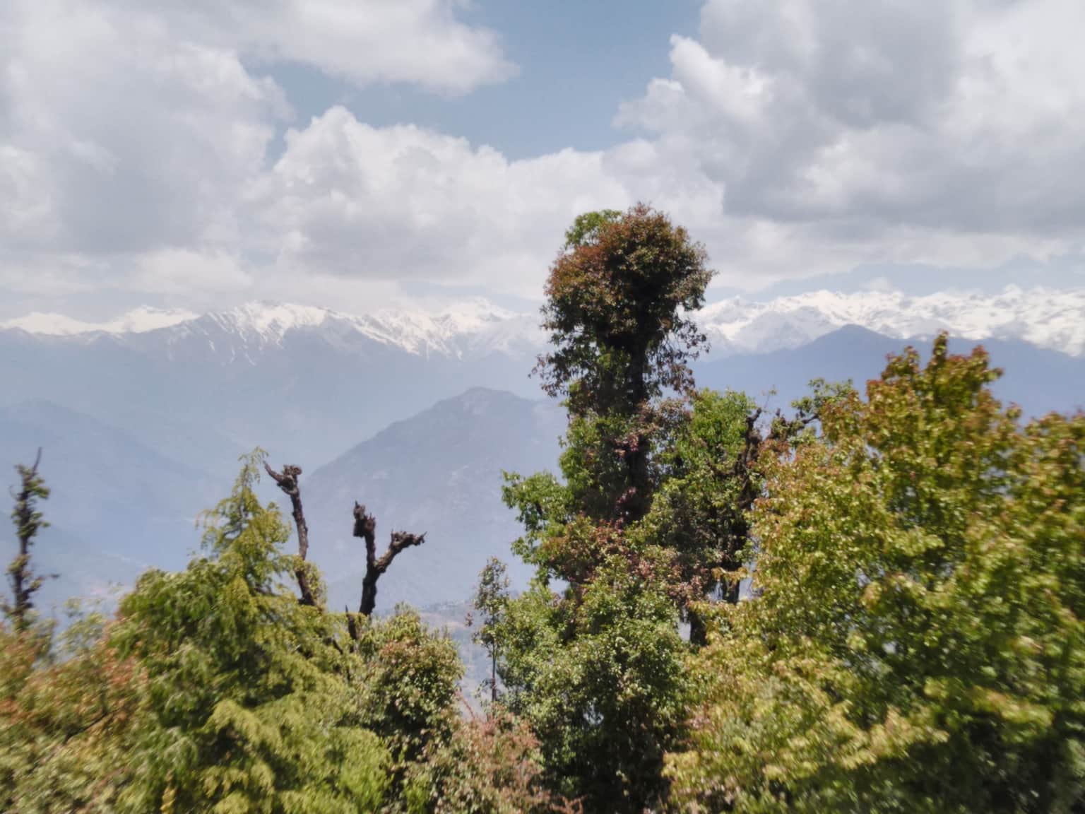 Photo from Nidhi Gupta's trip