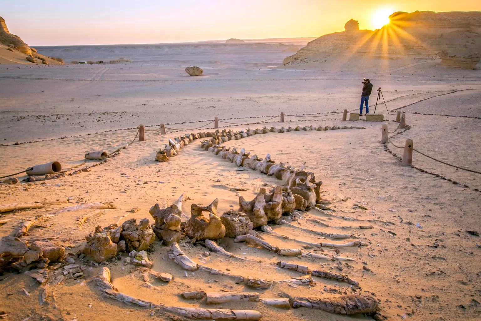 Wadi Hitan National Park