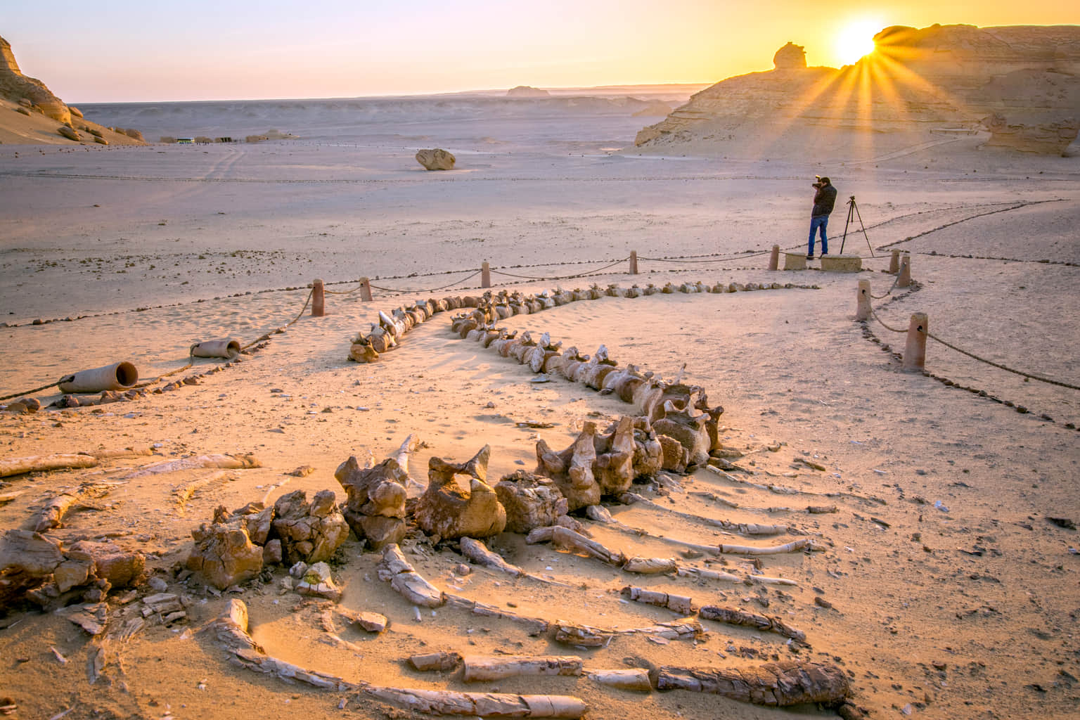 Wadi Hitan National Park
