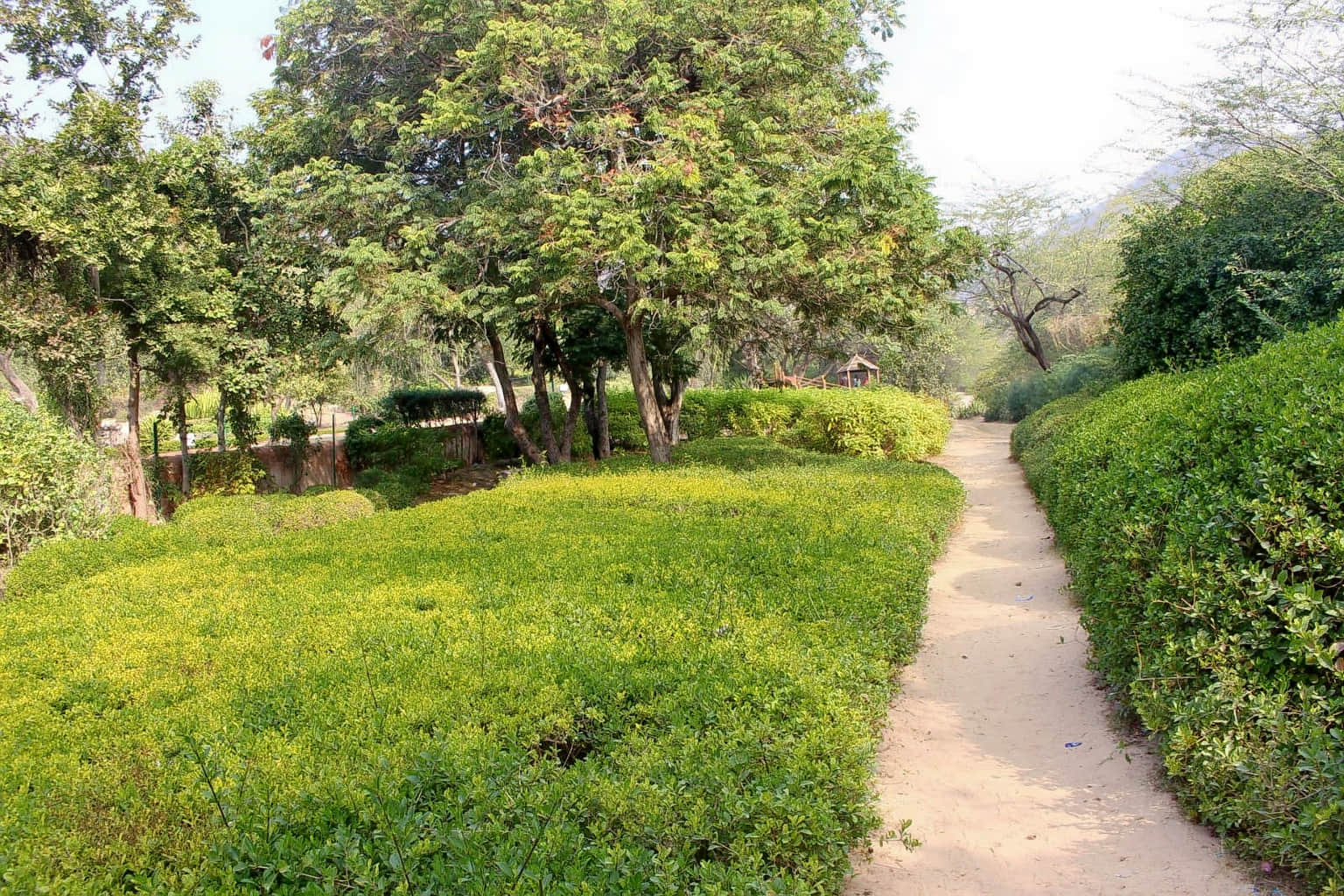 Photo from Rajasekaran Sundararajan's trip