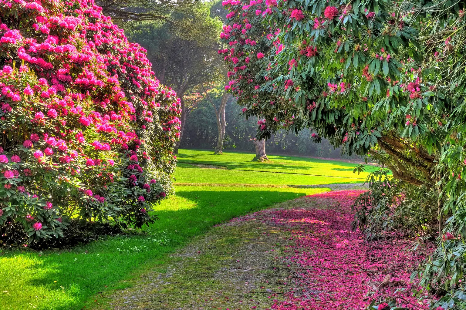 Tagore Garden