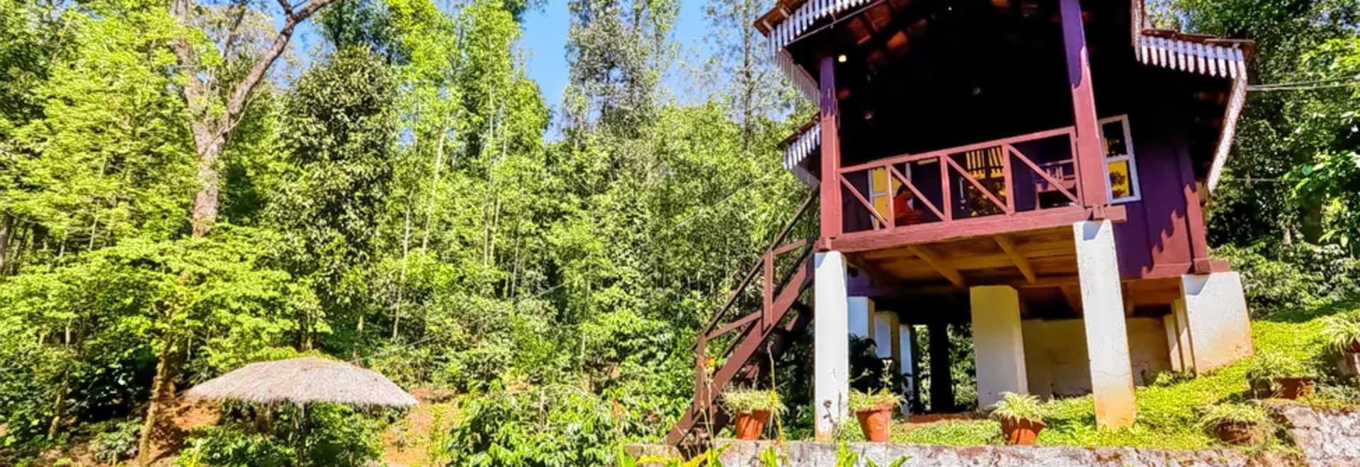 Chikmagalur Experiential Stays