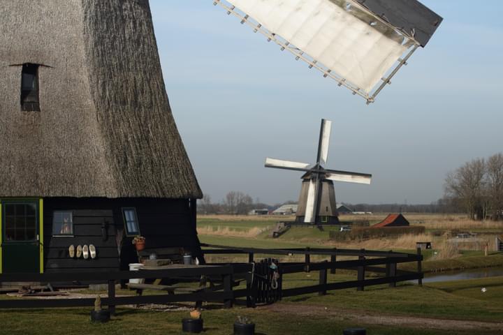 The Netherlands at Its Best