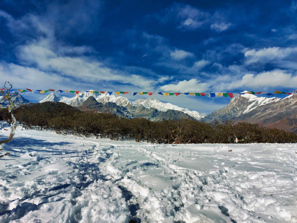 Winter