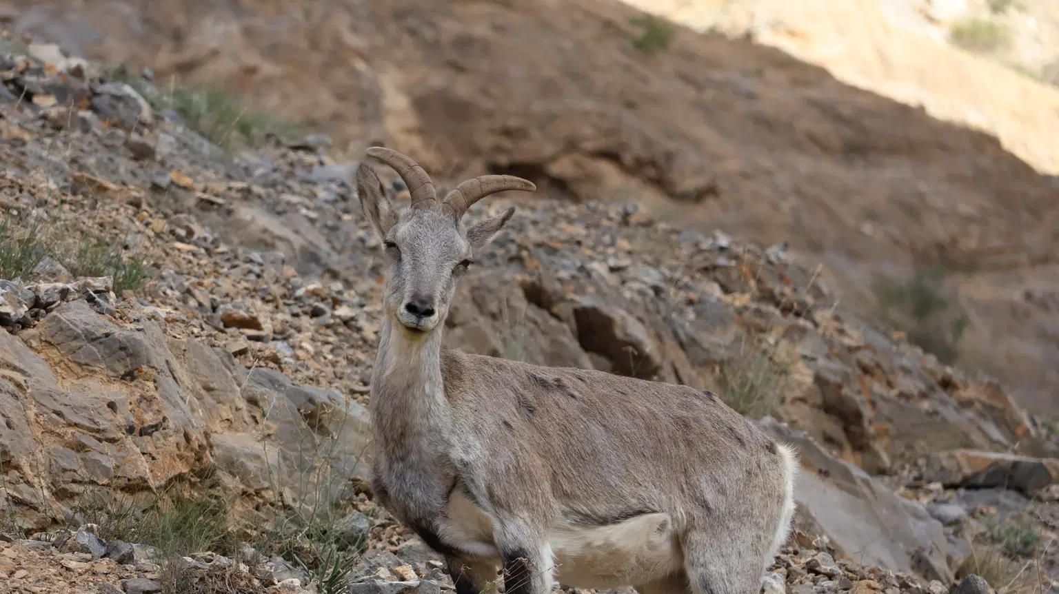 Photo from Abhay Mecwan's trip
