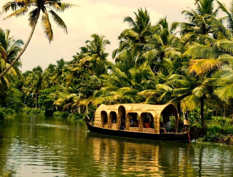 Best of Kerala Group Tour | Wildlife, Tea Estates & Backwaters