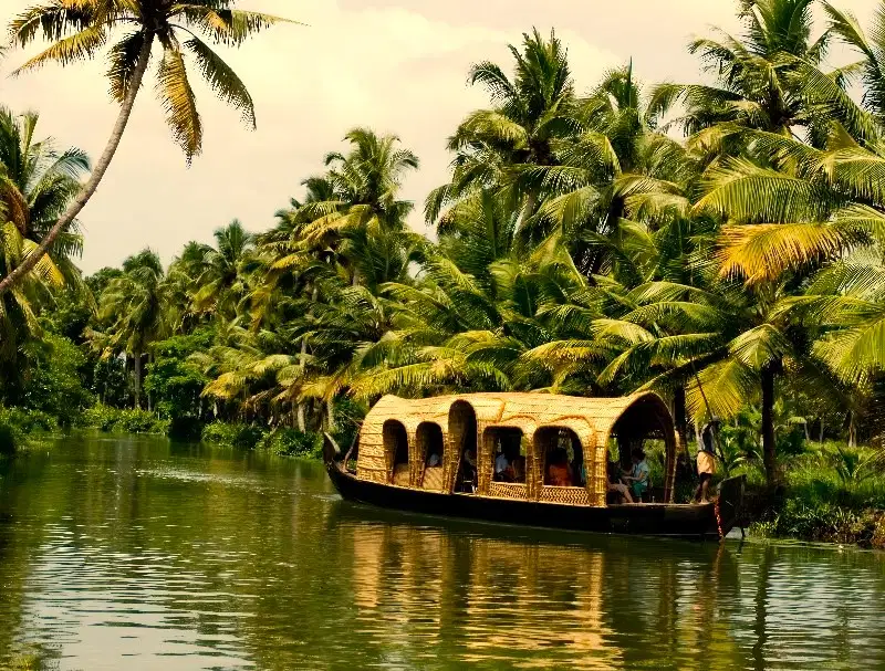 Best of Kerala Group Tour | Wildlife, Tea Estates & Backwaters