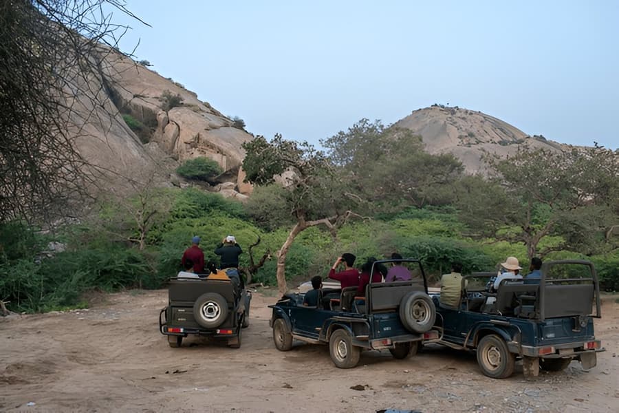 Wildlife Jeep Safari in Jawai Image