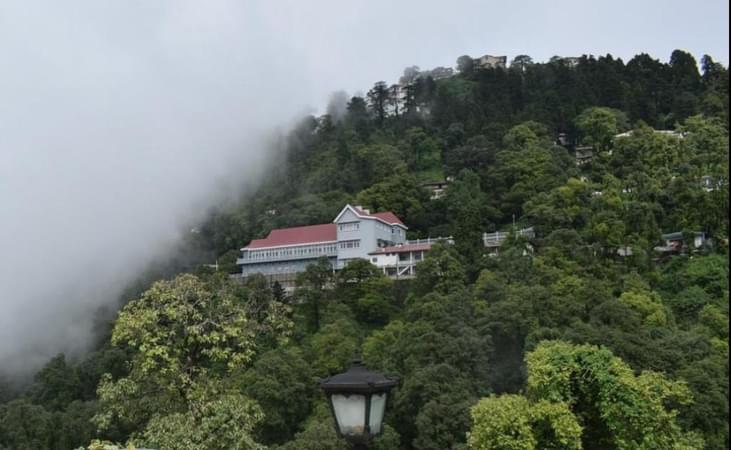 lush green resort with beautiful nature