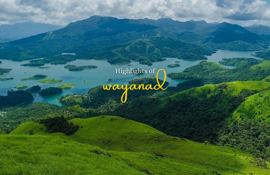 3 Days Private Wayanad Tour Package Image