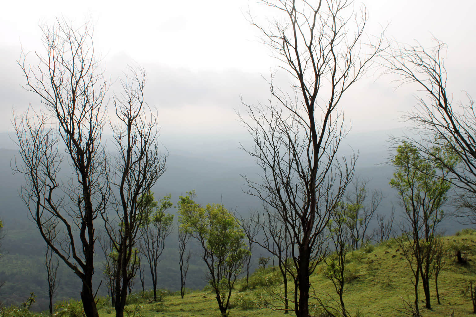 Photo from Vishwajith Rao's trip