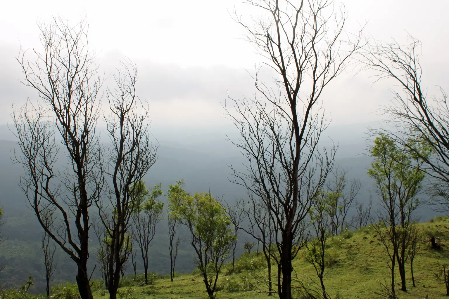 Photo from Vishwajith Rao's trip