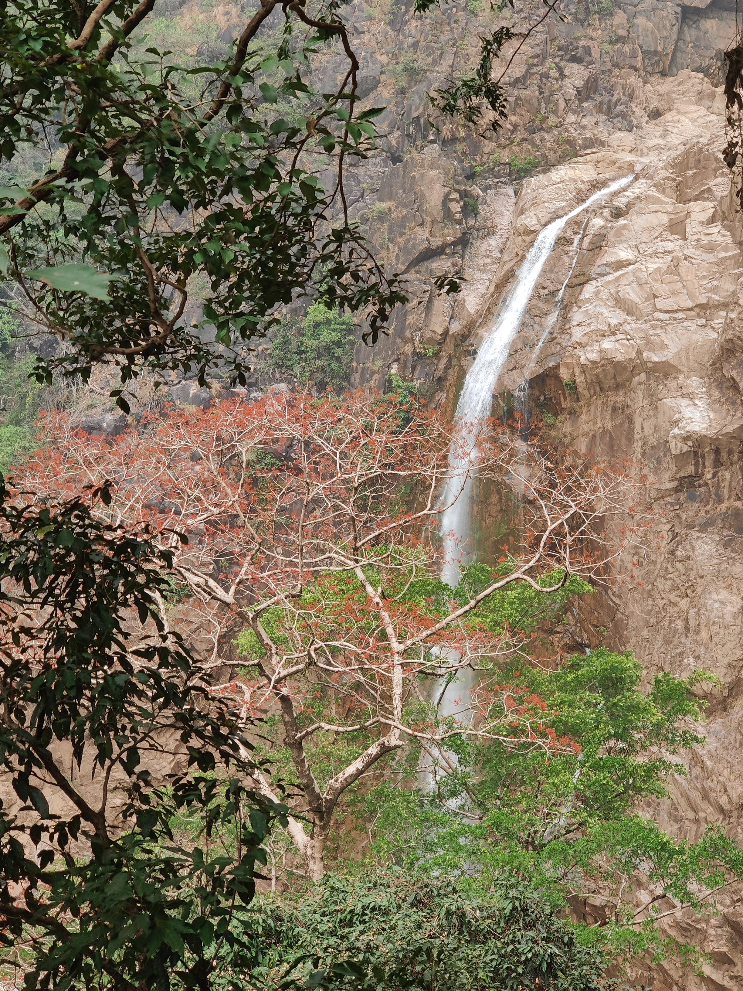 Yogesh Nikose