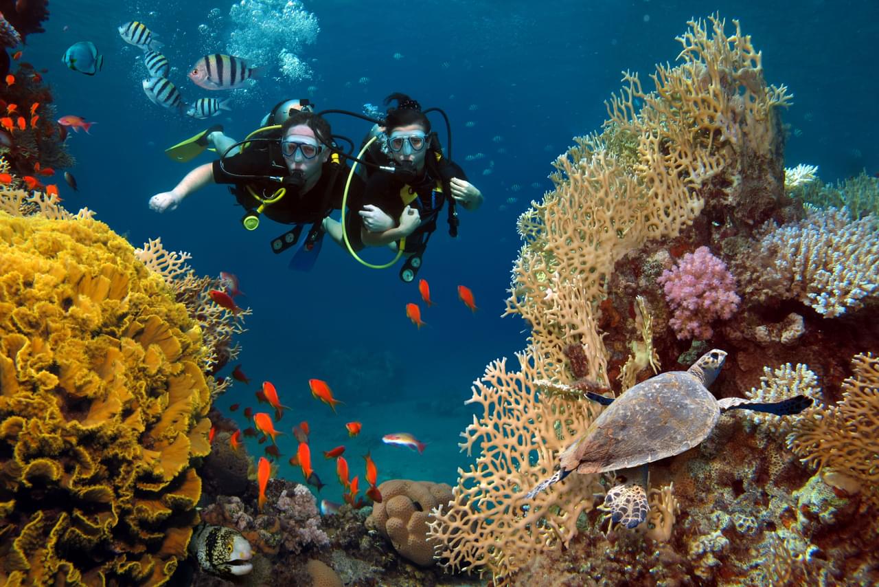 Scuba Diving In London