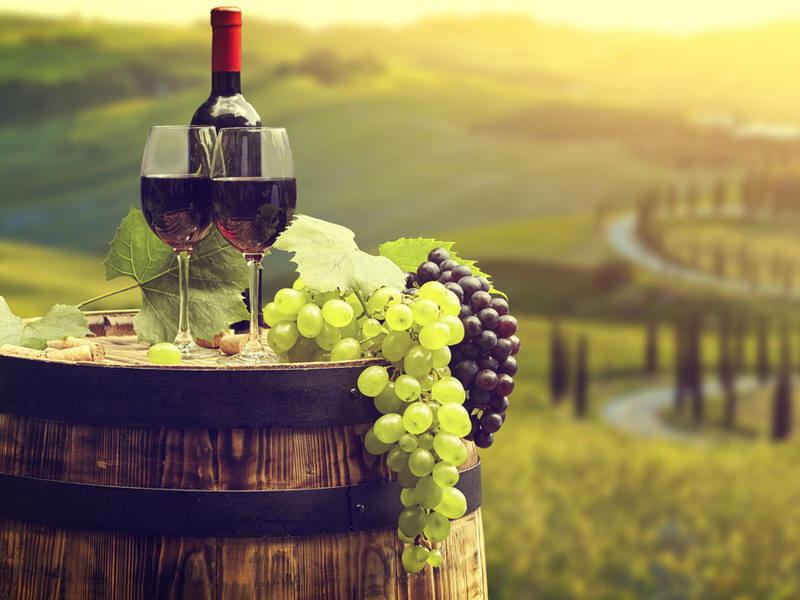 Small-Group Wine Tasting Tour to Tuscany