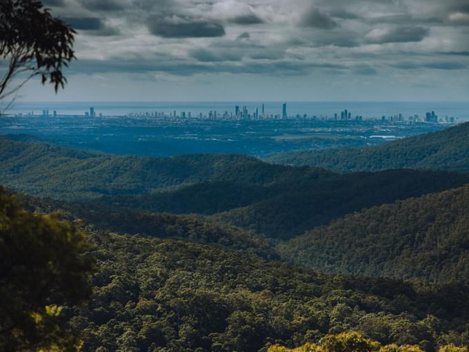 Springbrook National Park Tour