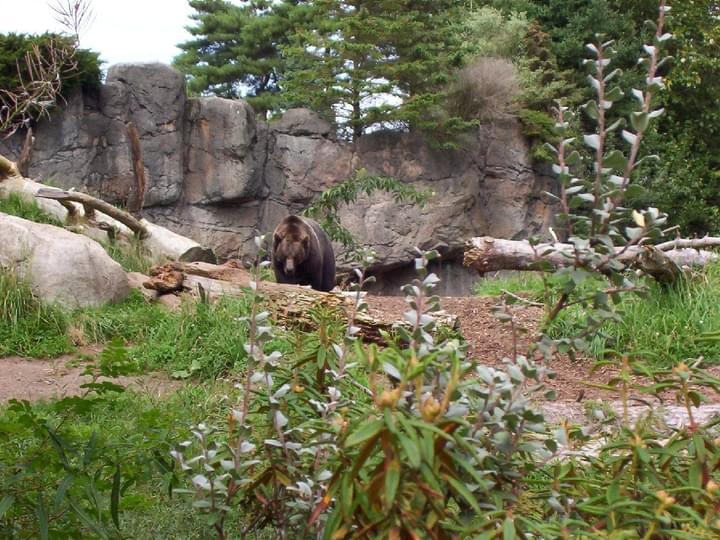 Woodland Park Zoo in North America