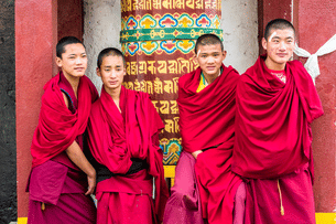 Y54y5ncgp0x0uozkrpai1ajzo4xf dsc 1693