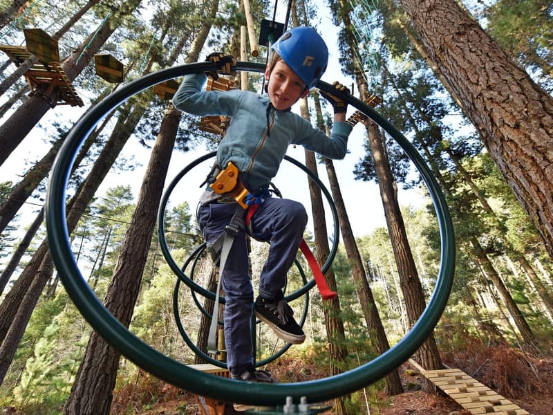 Treetops Adventure Yeodene Park Image