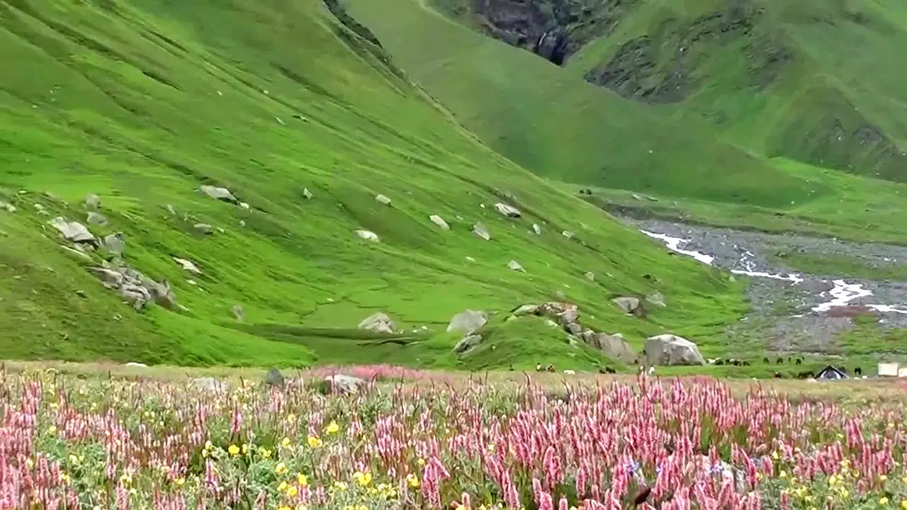 Photo from Dron Malik's trip