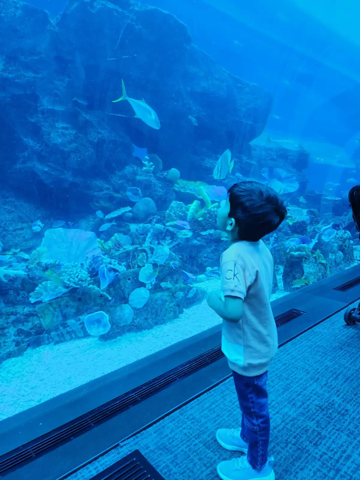 Photo from Prajakta Khairnar's trip