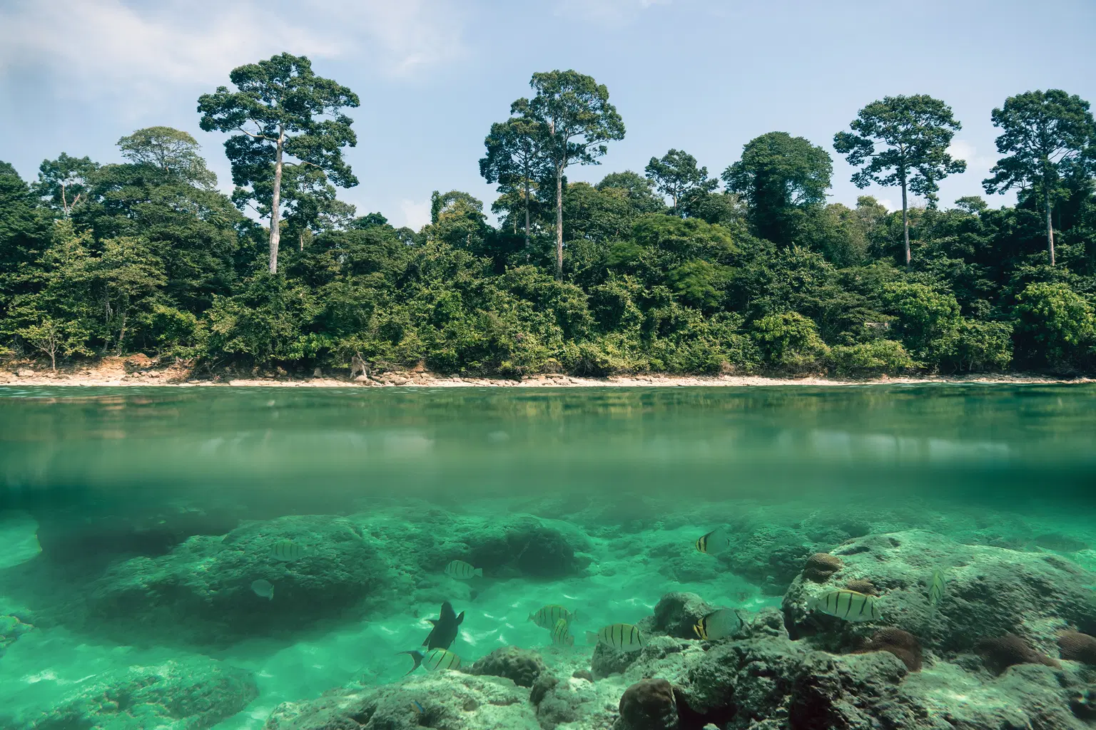 <em>Havelock Island</em> Tour Packages From Delhi