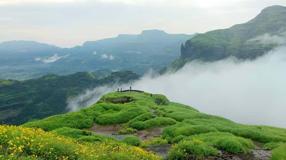 Bhimashankar Trek