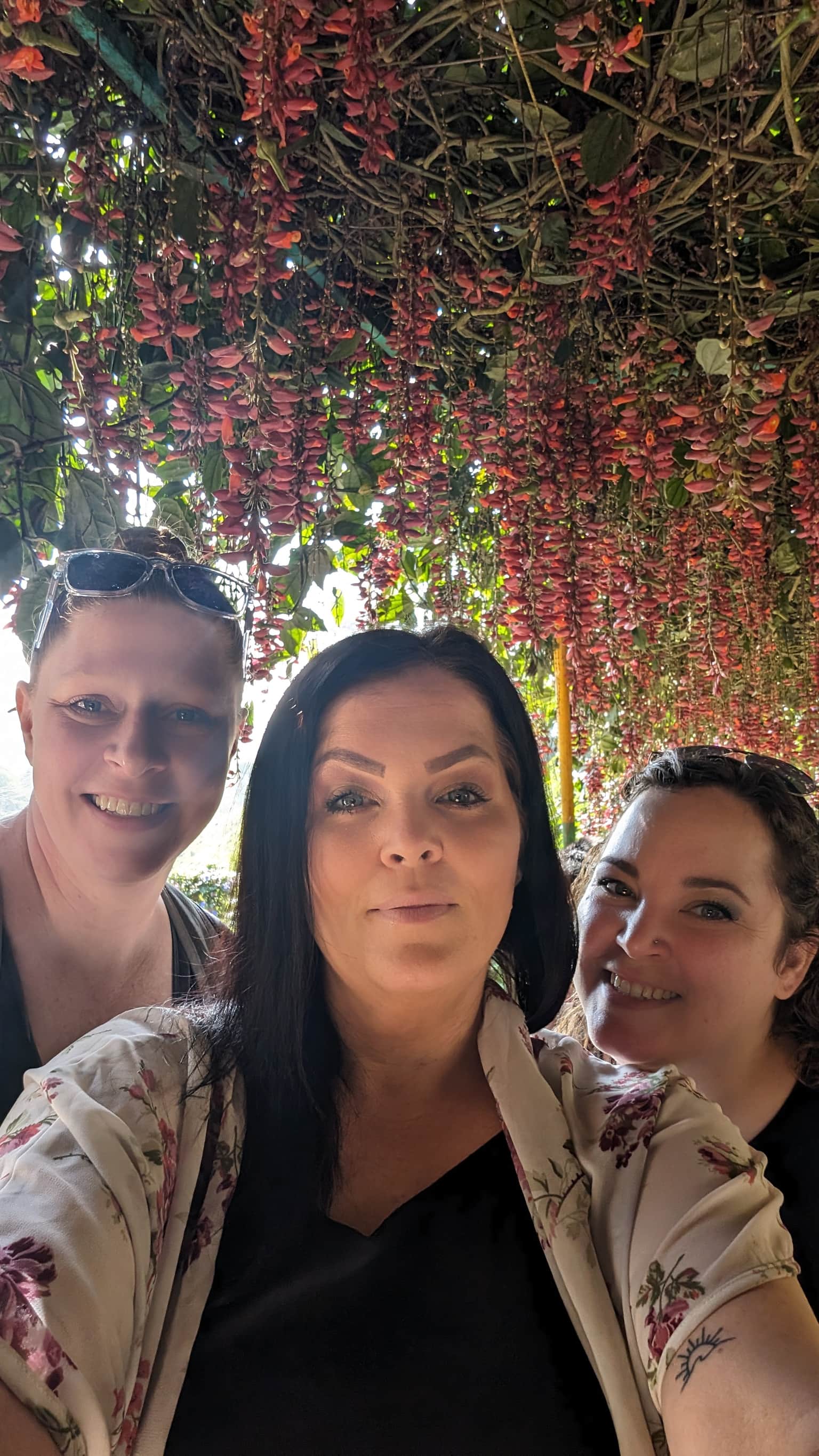 Photo from MISTY YARBROUGH's trip