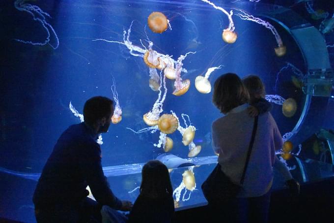 The L'Oceanografic, Valencia, Spain