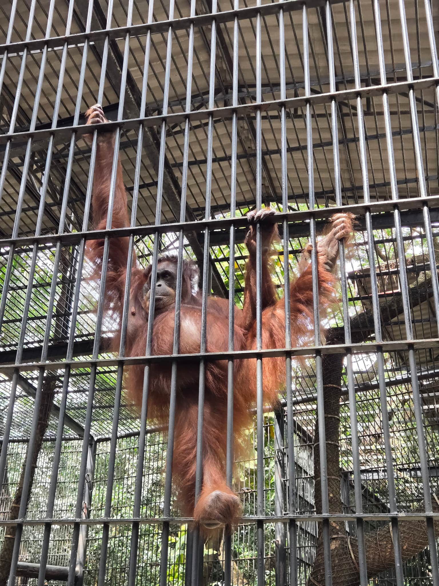 Photo from Joanna Chen's trip