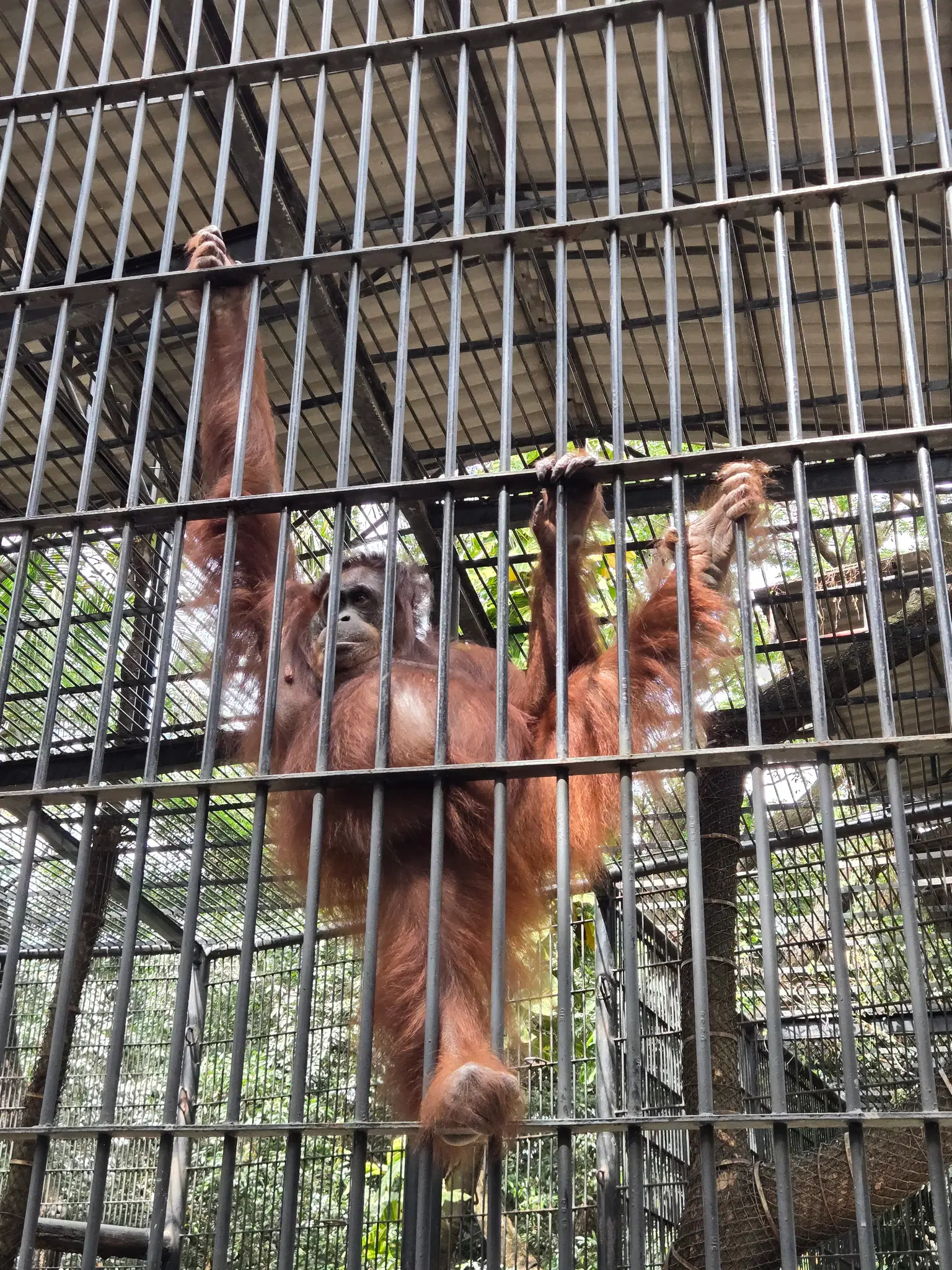 Photo from Joanna Chen's trip
