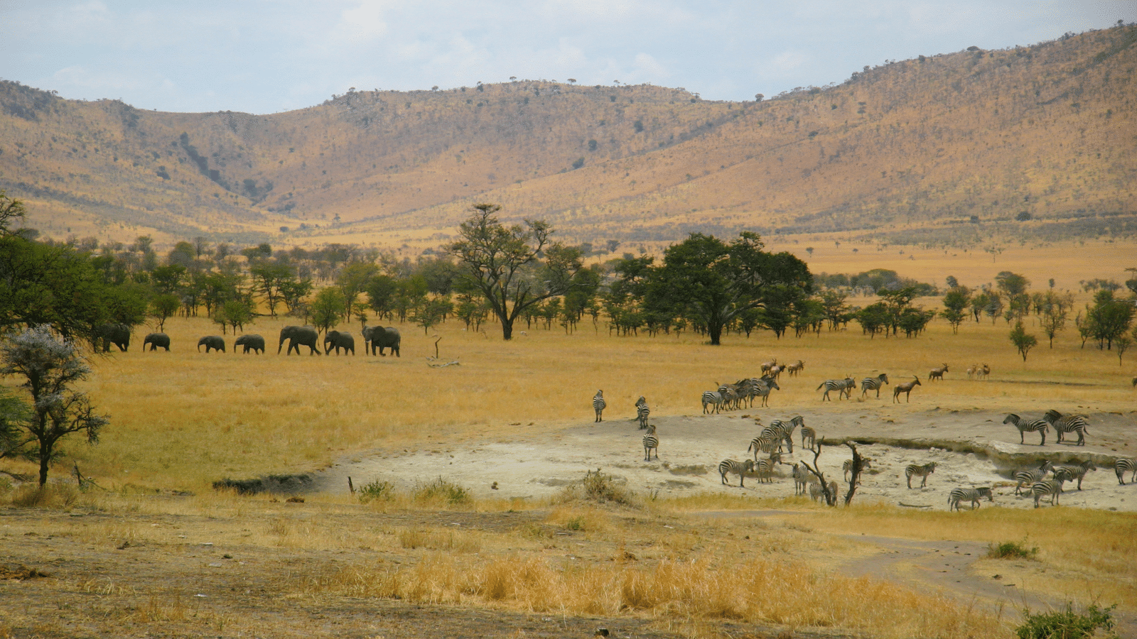 Lobo Valley Overview