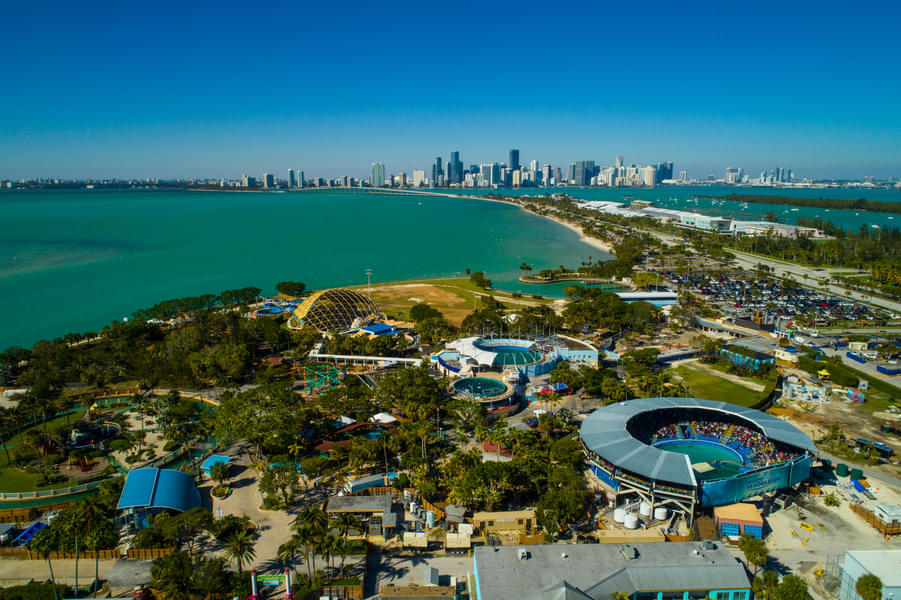 Spend a day full of fun at the majestic Miami Seaquarium